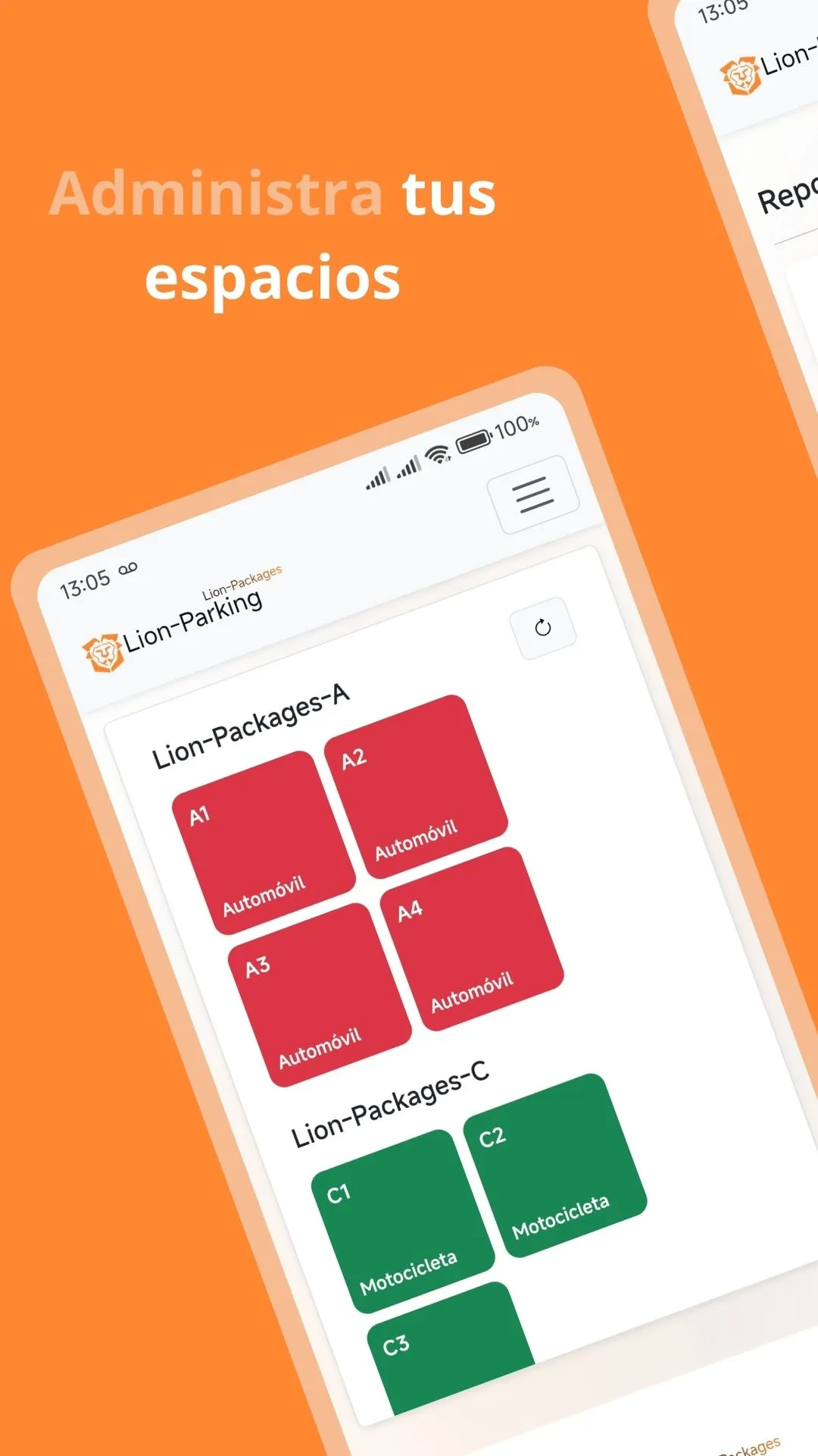 Lion-Parking screenshot 2